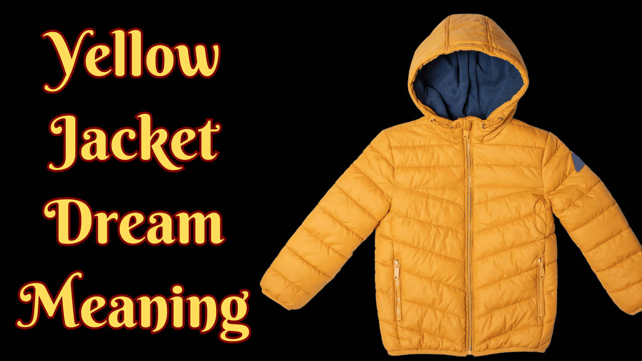 Yellow Jacket Dream Meaning