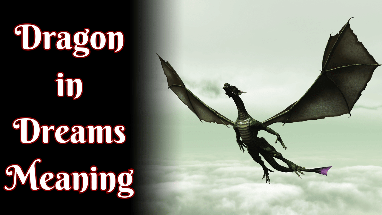 Dragon in Dreams Meaning