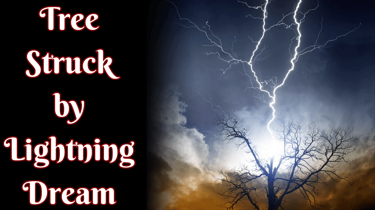 Tree Struck by Lightning Dream Meaning