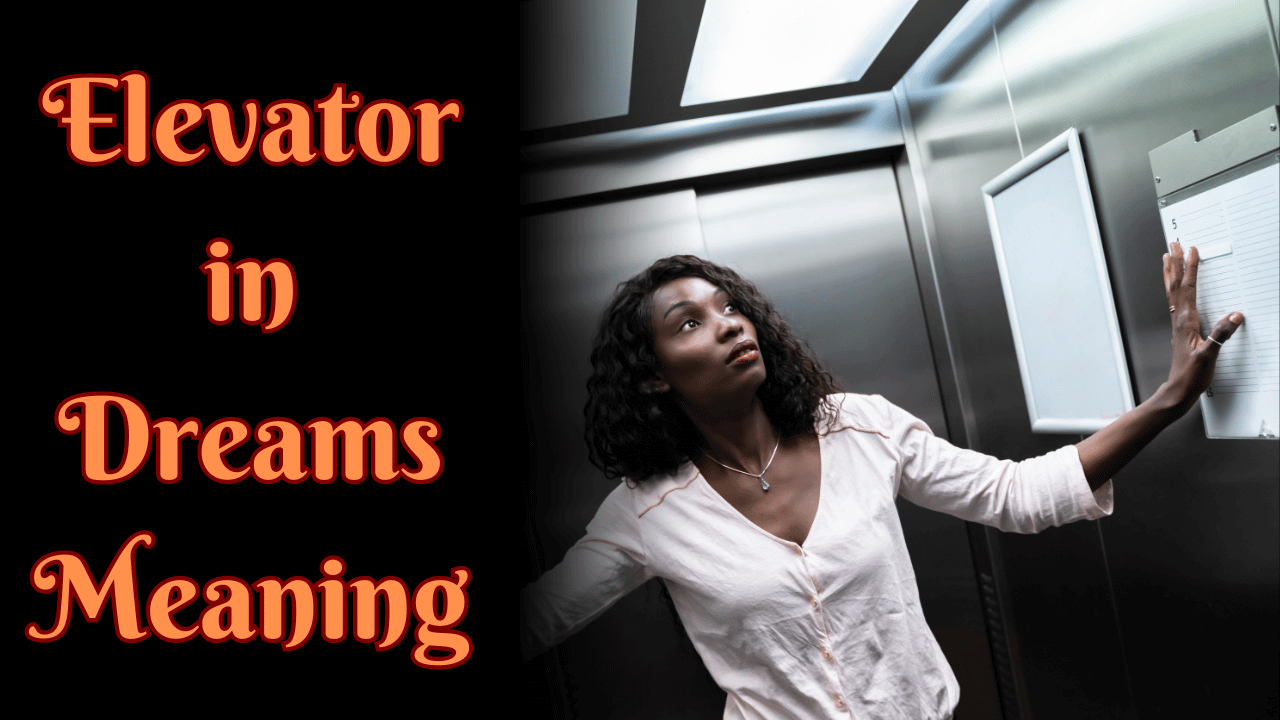 Elevator in Dreams Meaning