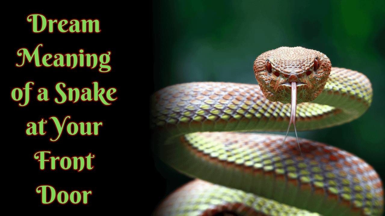 Dream Meaning of a Snake at Your Front Door