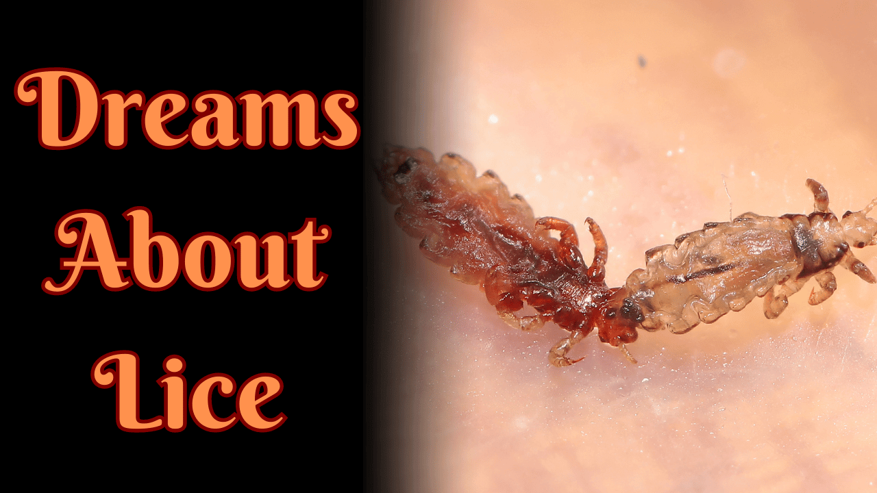 Dreaming Lice Meaning
