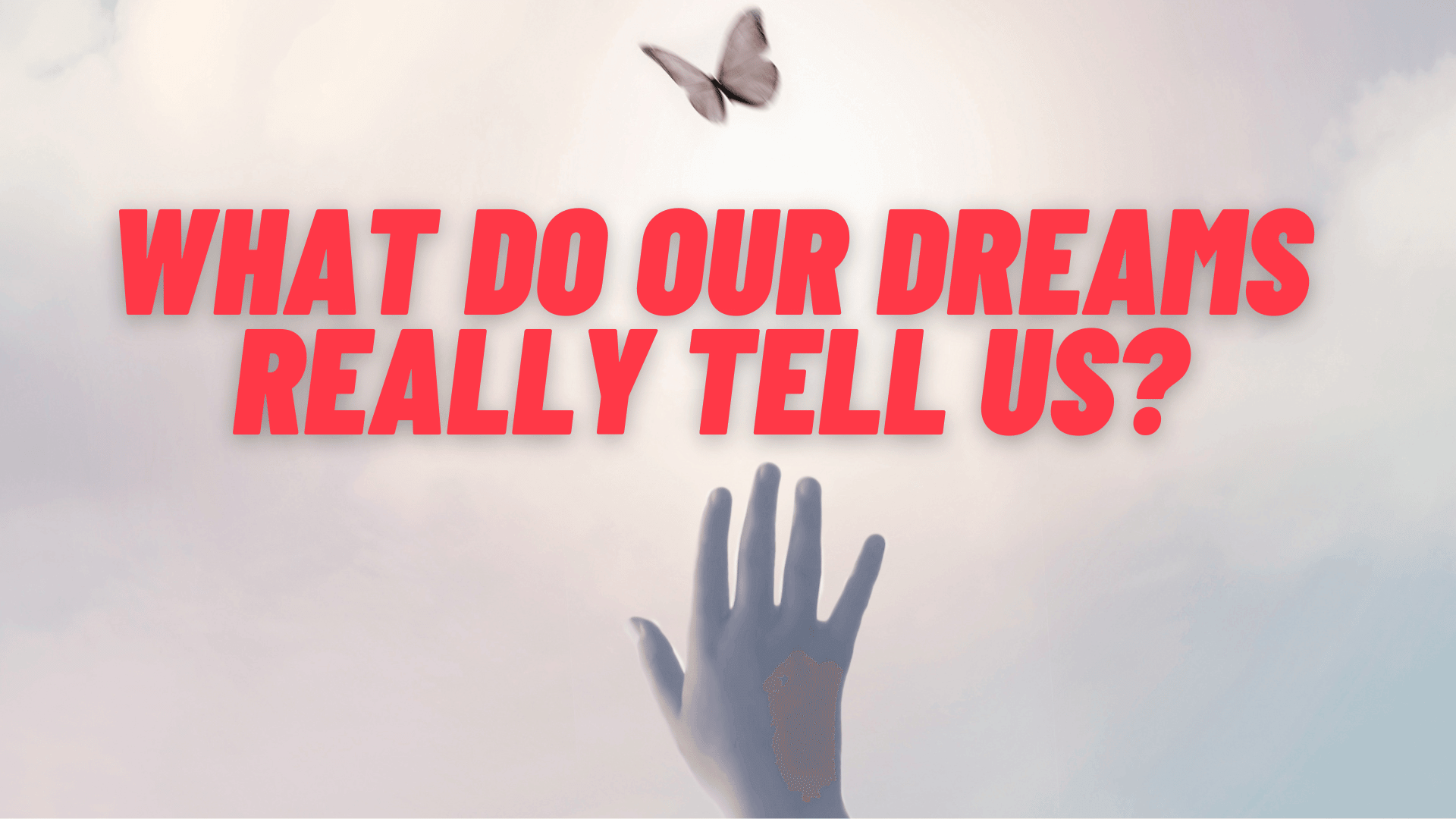 What Do Our Dreams Really Tell Us?