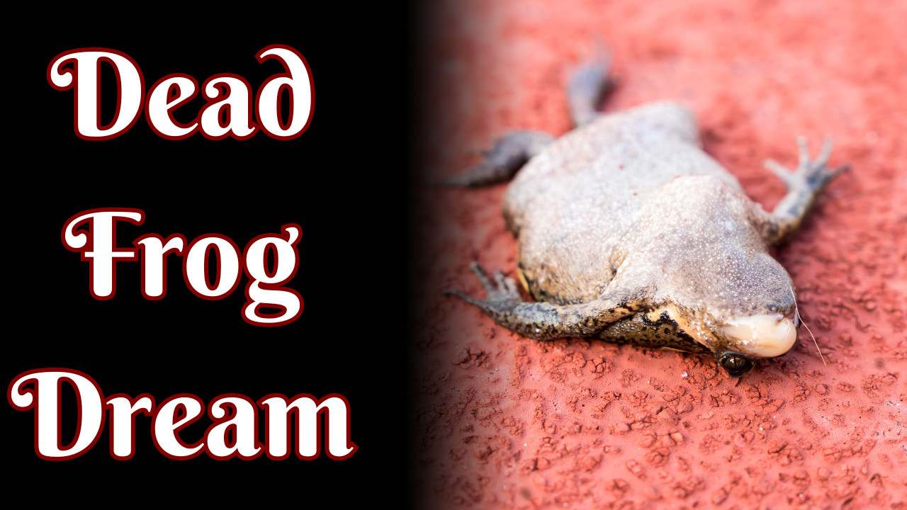 Dead Frog Dream Meaning